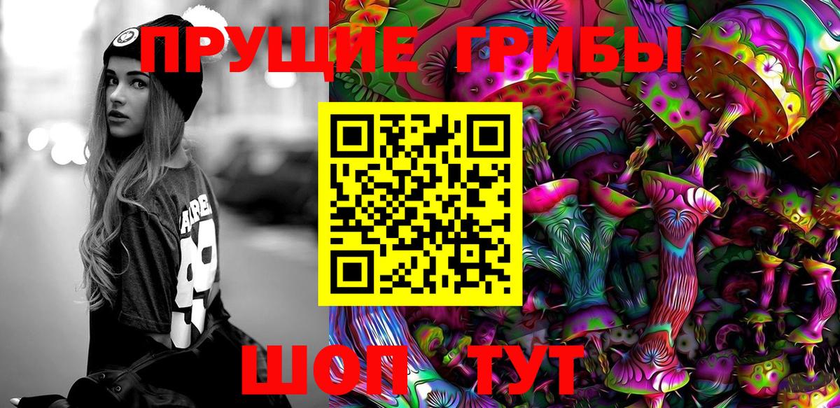 купить наркотики цена  Галлюциногенные грибы Cubensis  Псилоцибиновые грибы ЛСД  Вход с VPN  Мурино 